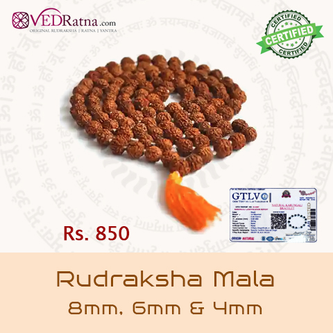 Rudraksha Mala